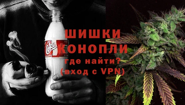 стафф Аркадак