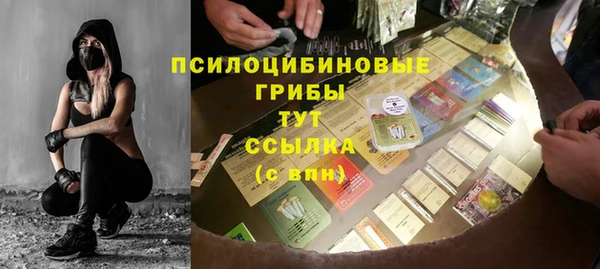 стафф Аркадак